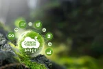 Действительно ли рынок углеродных кредитов является новым сектором экономики?