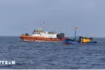 Власти проверяют работу рыболовных судов в море. (Фото: ВИA)