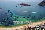 Вид на пляж Куйньон, провинция Биньдинь (Фото: ВИA)