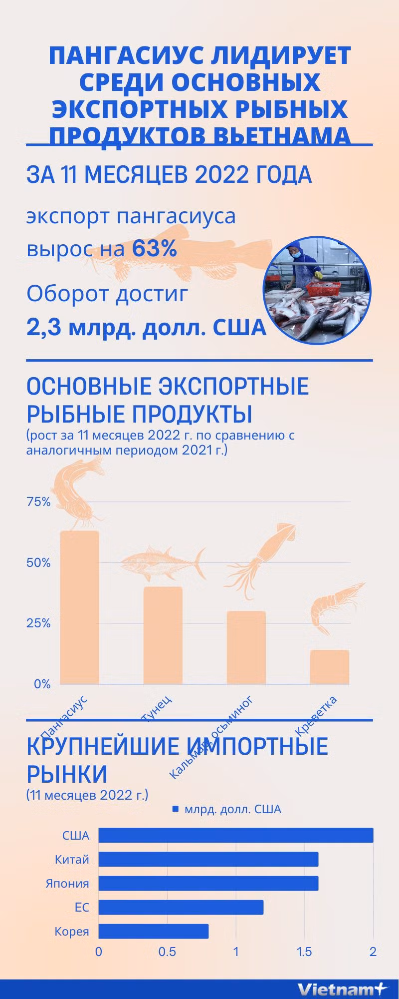 Пангасиус лидирует среди основных экспортных рыбных продуктов Вьетнама ảnh 1 Пангасиус лидирует среди основных экспортных рыбных продуктов Вьетнама ảnh 1