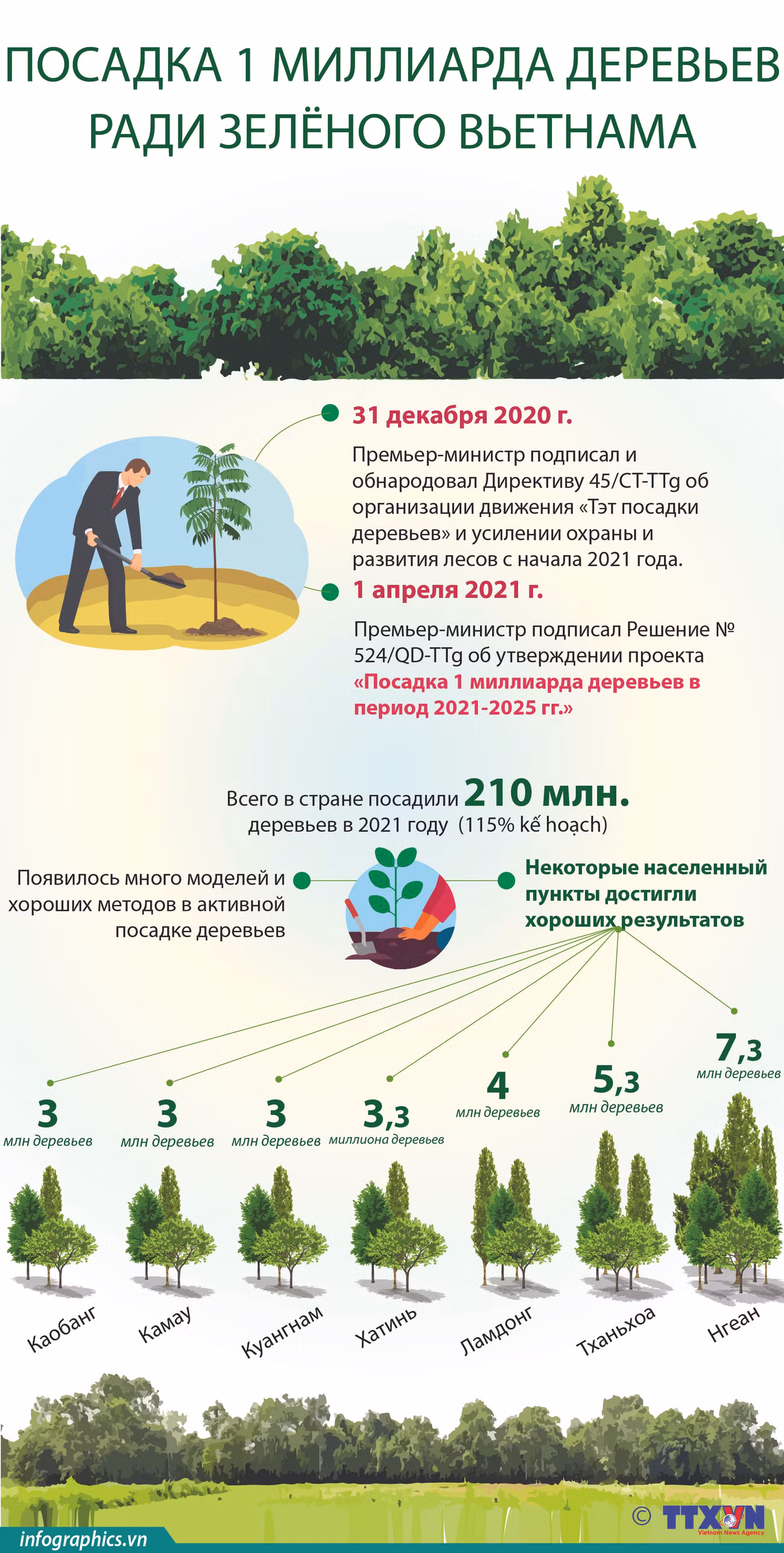 Посадка 1 миллиарда деревьев ради зеленого Вьетнама ảnh 1