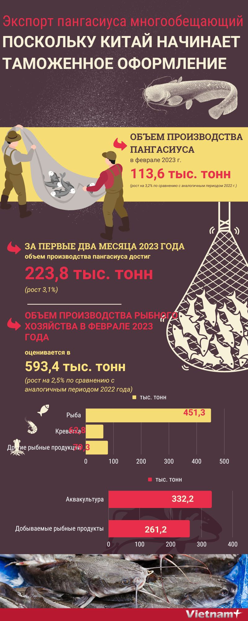 Экспорт пангасиуса многообещающий, поскольку Китай начинает таможенное оформление ảnh 1
