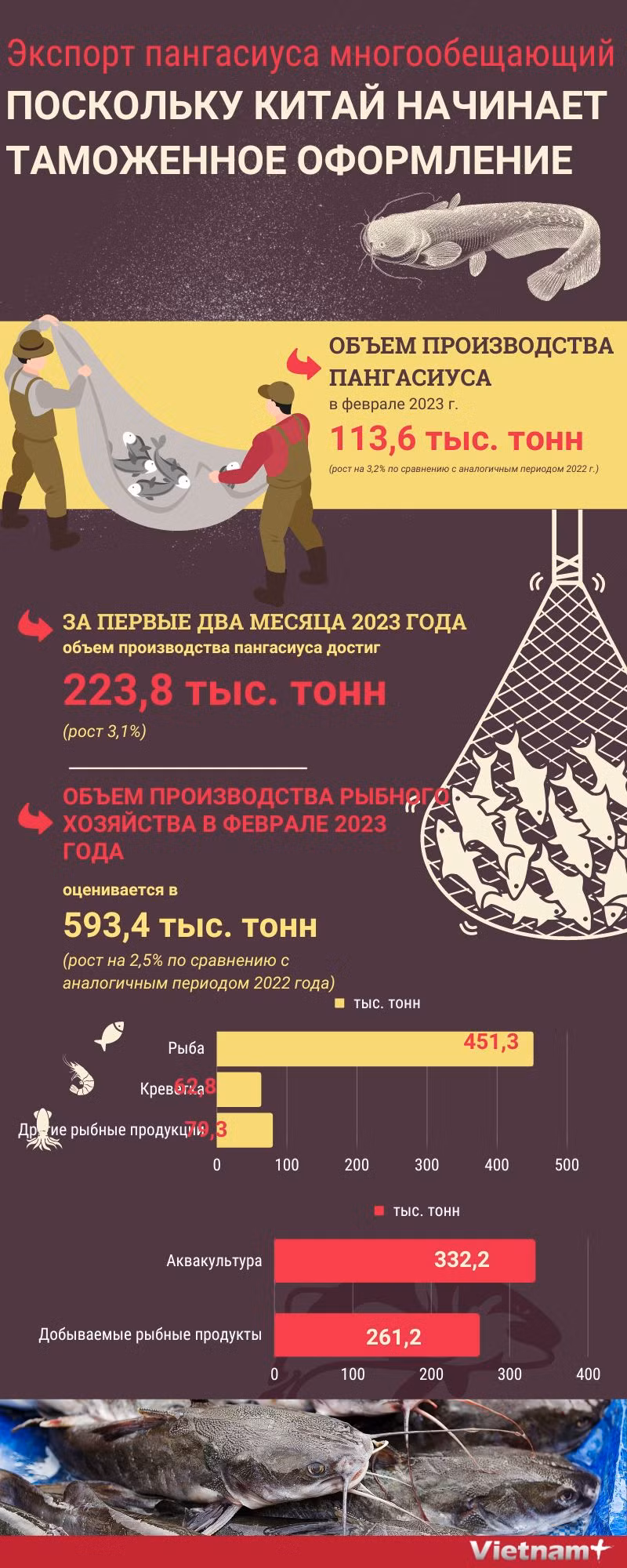 Экспорт пангасиуса многообещающий, поскольку Китай начинает таможенное оформление ảnh 1 Экспорт пангасиуса многообещающий, поскольку Китай начинает таможенное оформление ảnh 1