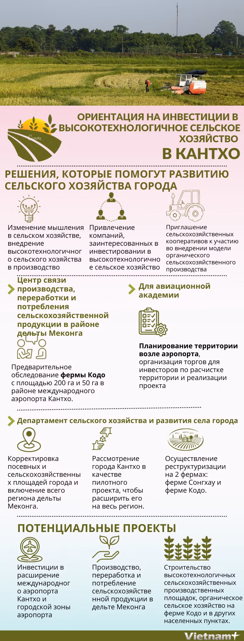 Ориентация на инвестиции в высокотехнологичное сельское хозяйство в Кантхо ảnh 1