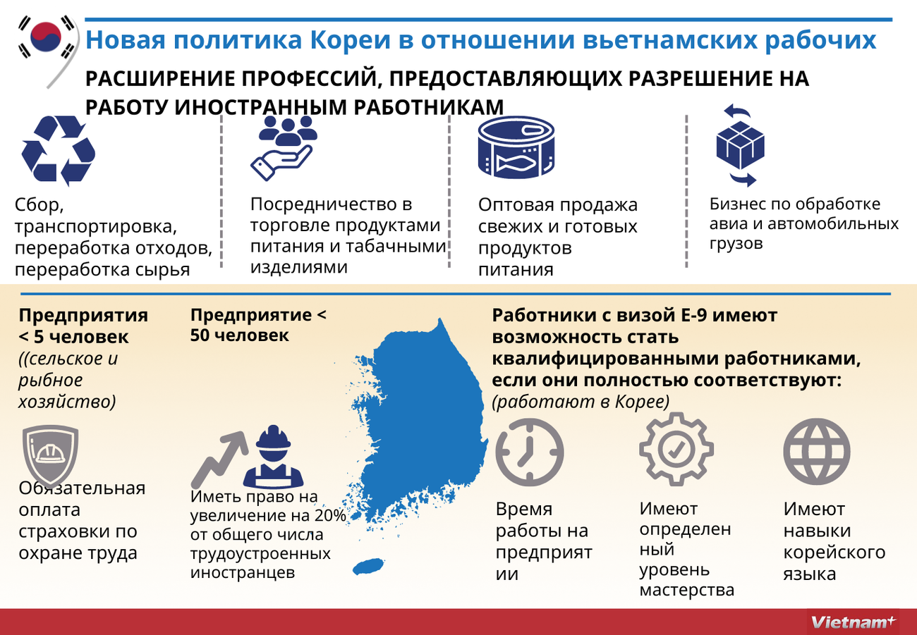 Новая политика Кореи в отношении вьетнамских рабочих ảnh 1
