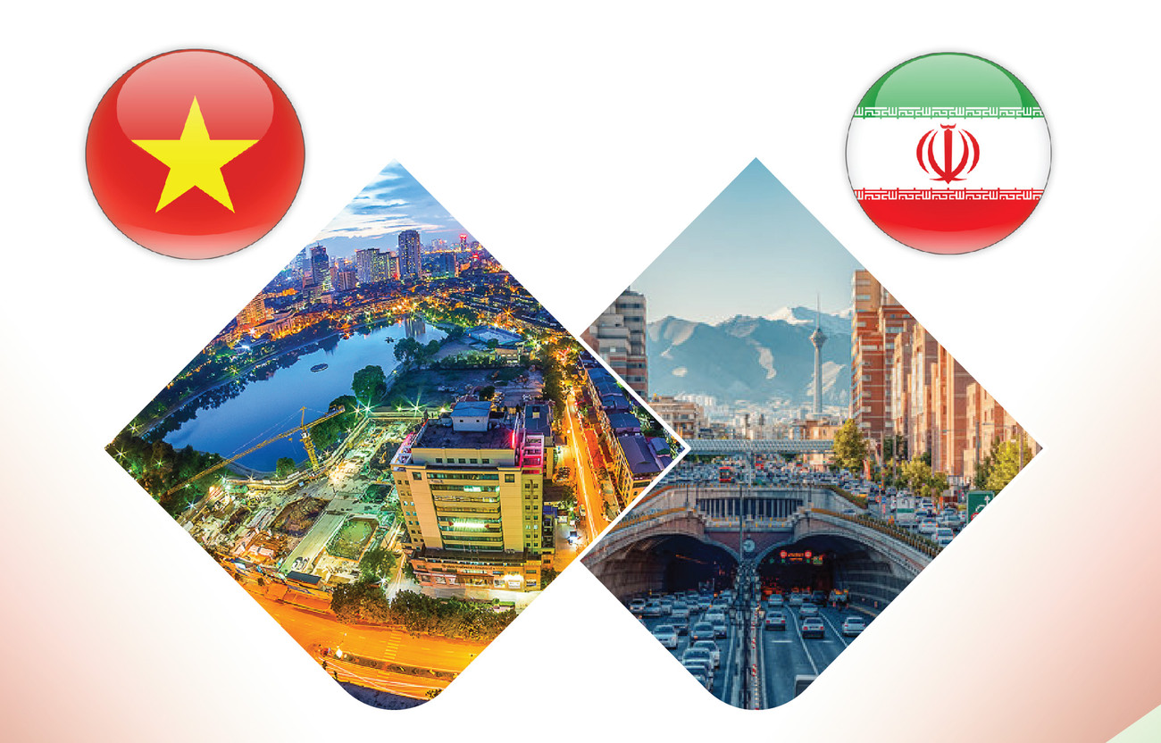 Дружественные отношения и сотрудничество между Вьетнамом и Ираном ảnh 2