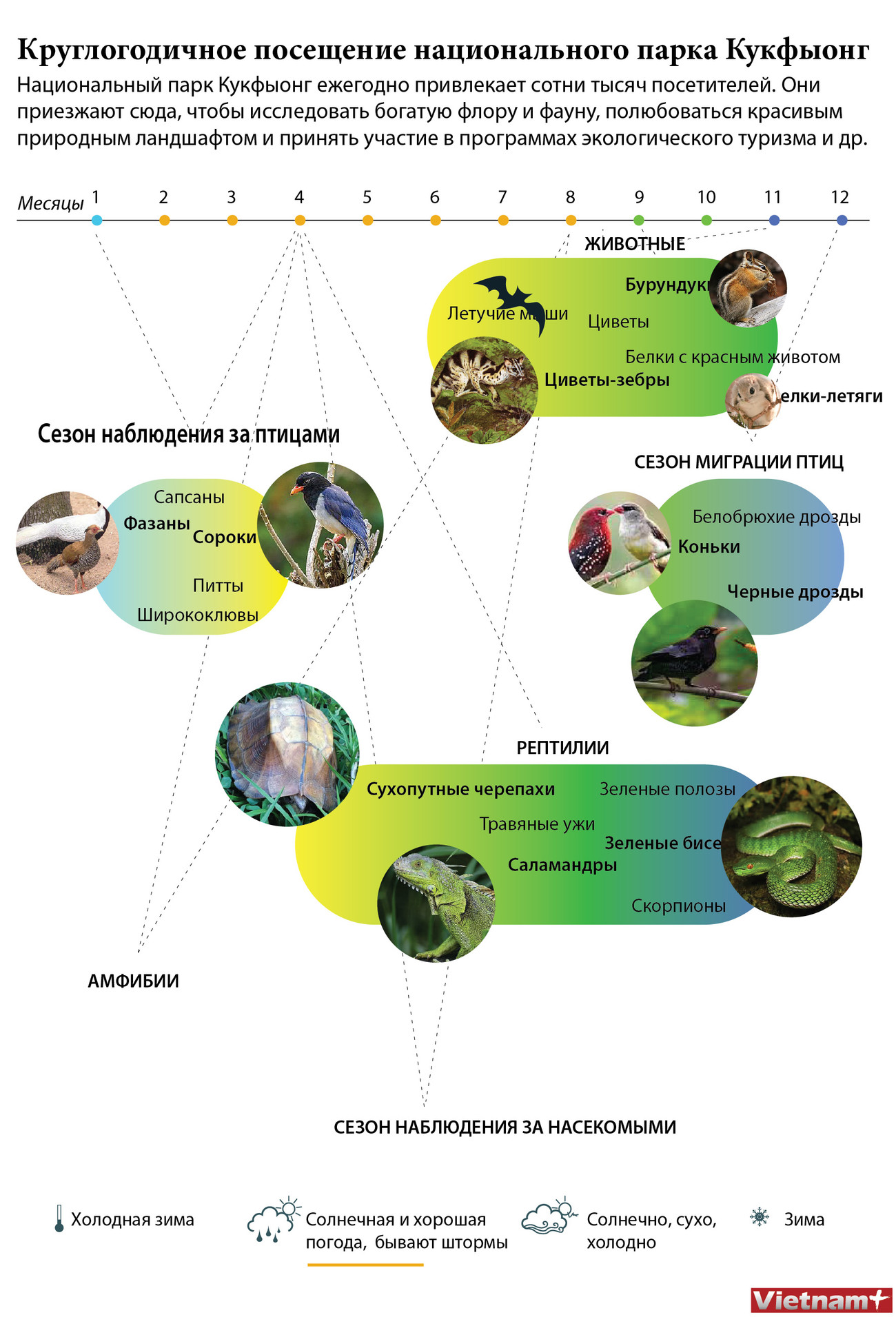 Круглогодичное посещение национального парка Кукфыонг ảnh 1 Круглогодичное посещение национального парка Кукфыонг ảnh 1