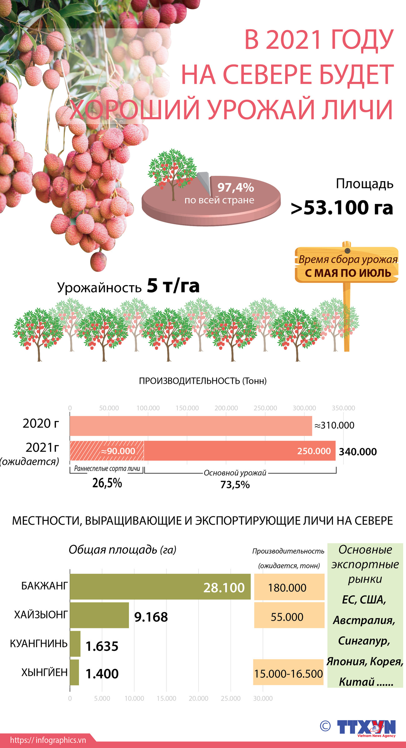 В 2021 году на севере будет хороший урожай личи ảnh 1