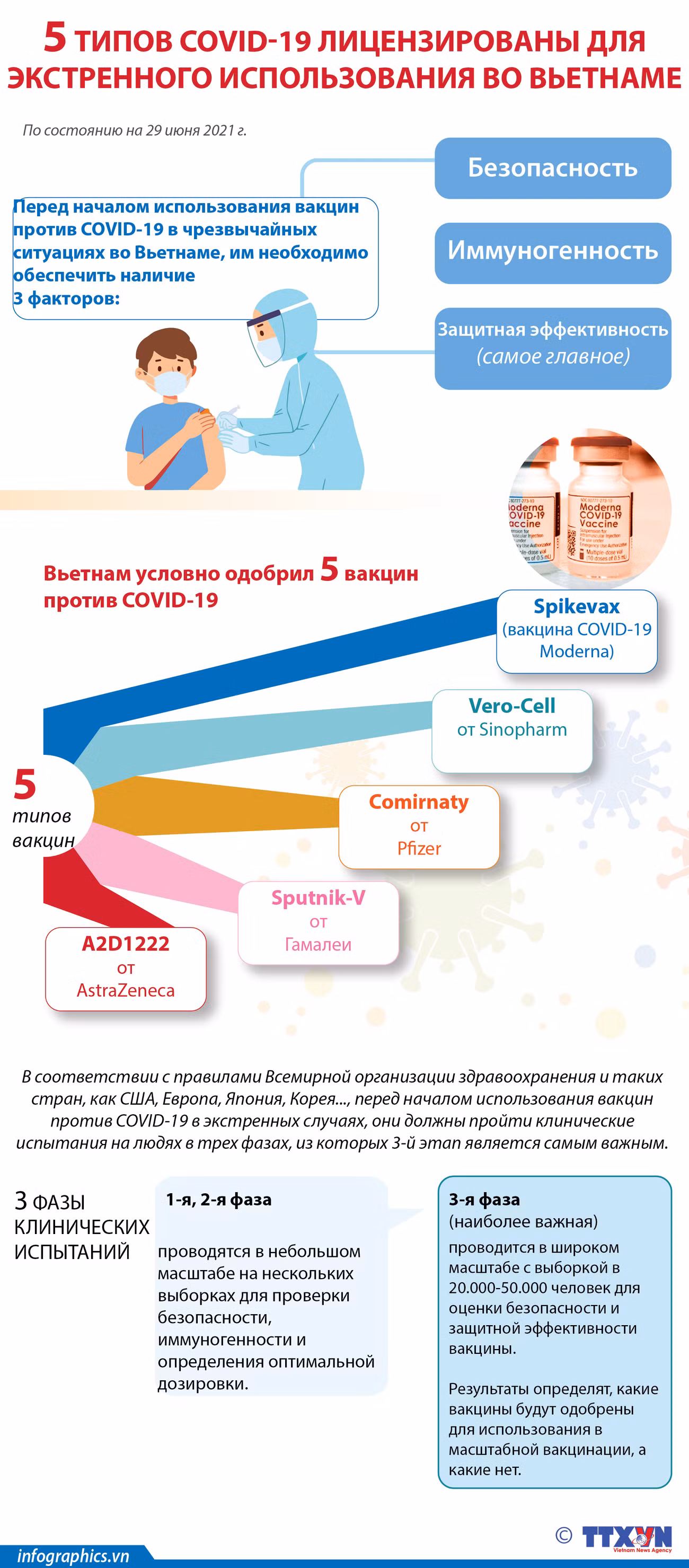 5 типов вакцин COVID-19 лицензированы для экстренного использования во Вьетнаме ảnh 1