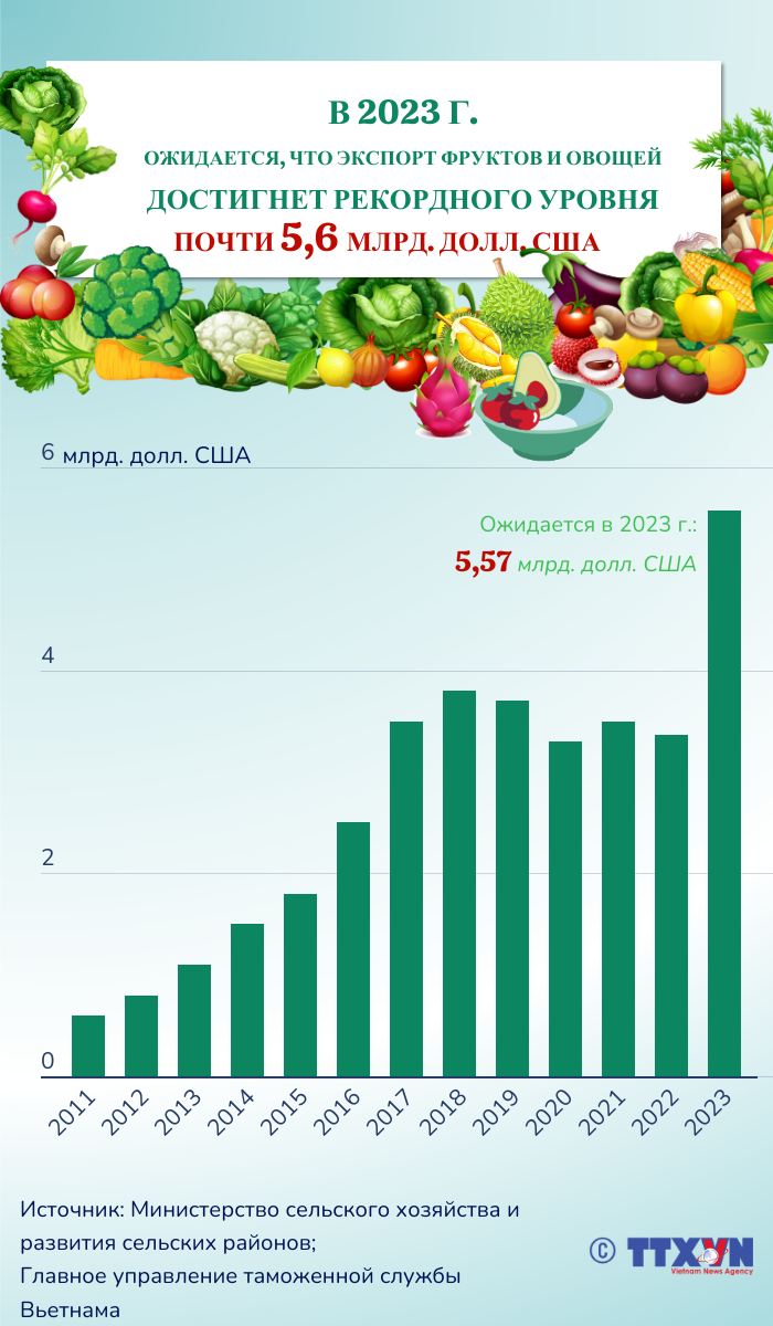 Ожидается, что экспорт фруктов и овощей в 2023 году достигнет рекордного уровня почти в 5,6 млрд. долл. США. ảnh 1 Ожидается, что экспорт фруктов и овощей в 2023 году достигнет рекордного уровня почти в 5,6 млрд. долл. США. ảnh 1