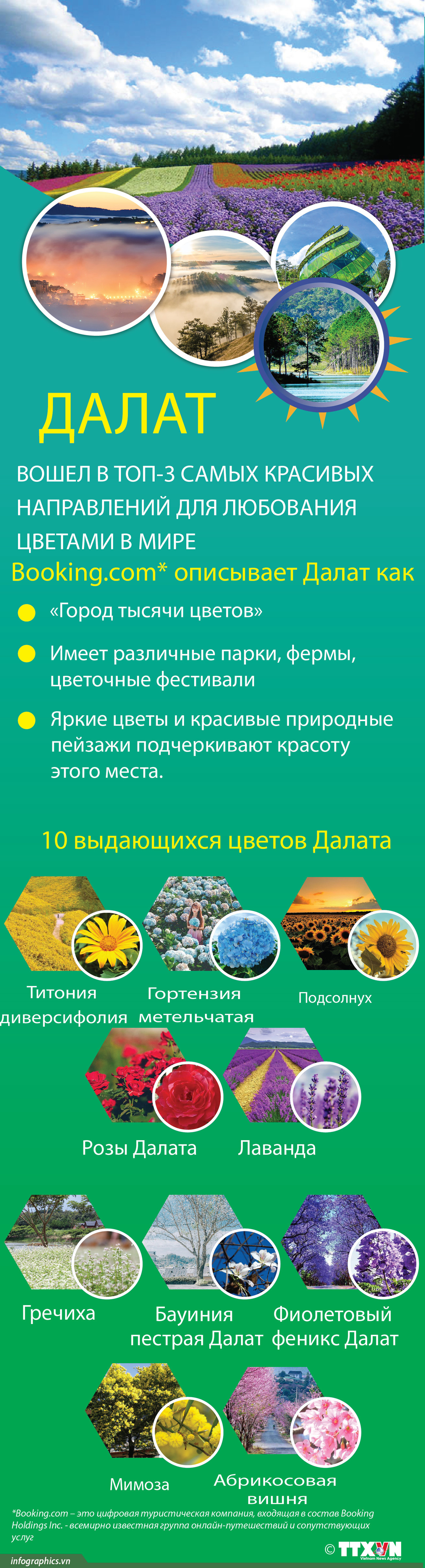 Далат вошел в топ-3 самых красивых направлений для любования цветами в мире ảnh 1