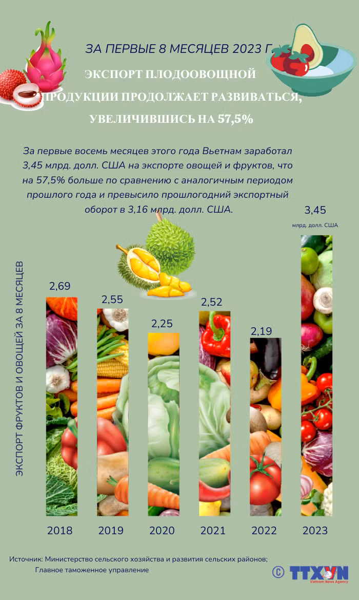 Экспорт фруктов и овощей за первые 8 месяцев 2023 года продолжает развиваться, увеличившись на 57,5% ảnh 1 Экспорт фруктов и овощей за первые 8 месяцев 2023 года продолжает развиваться, увеличившись на 57,5% ảnh 1