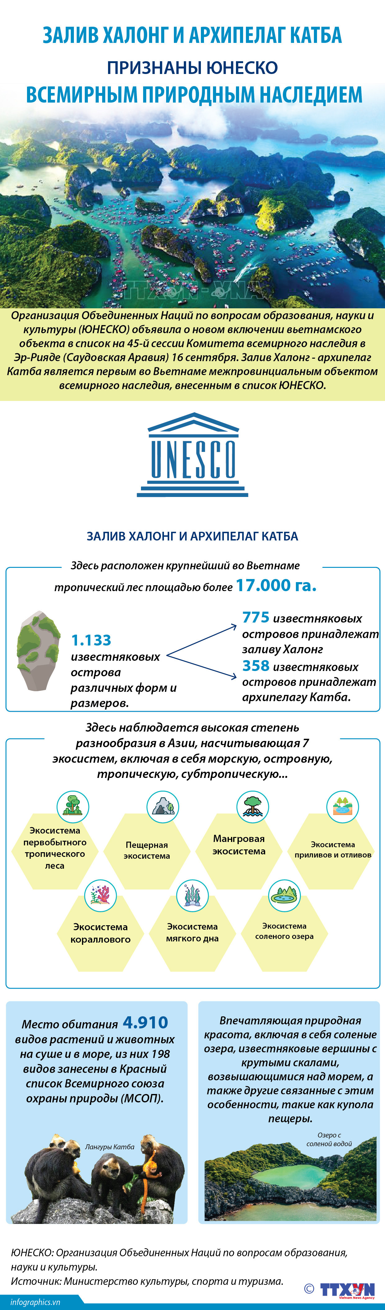 Залив Халонг и архипелаг Катба признаны ЮНЕСКО всемирным природным наследием ảnh 1 Залив Халонг и архипелаг Катба признаны ЮНЕСКО всемирным природным наследием ảnh 1