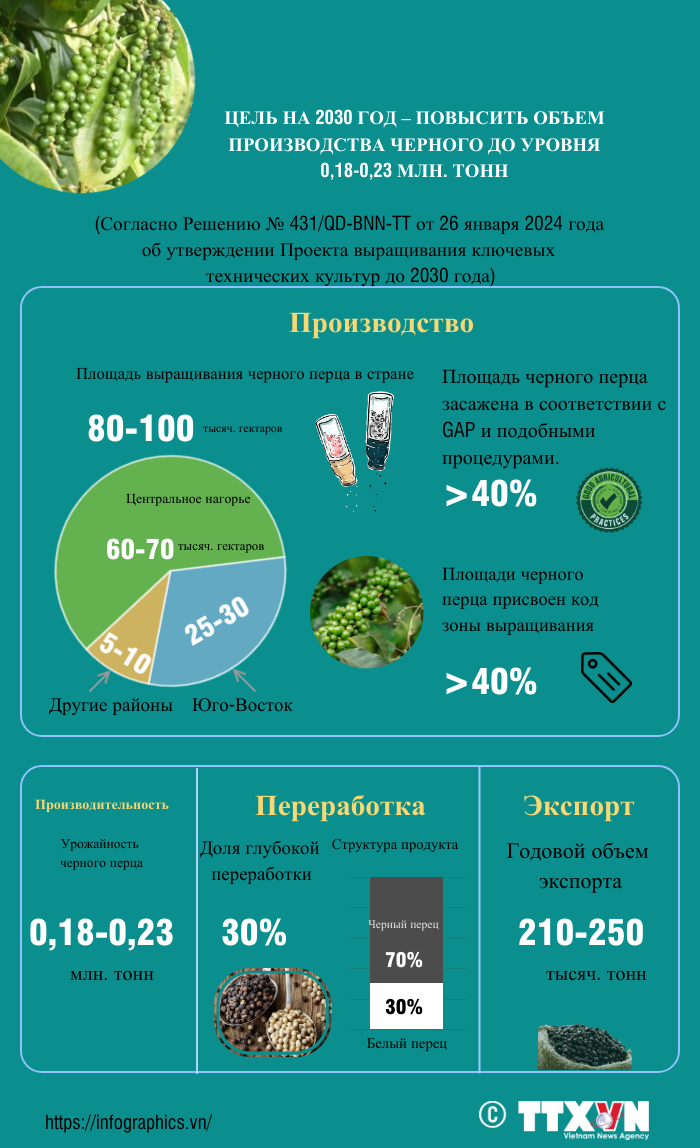 Цель на 2030 год - повысить объем производства черного перца до уровня 0,18-0,23 млн. тонн. ảnh 1 Цель на 2030 год - повысить объем производства черного перца до уровня 0,18-0,23 млн. тонн. ảnh 1
