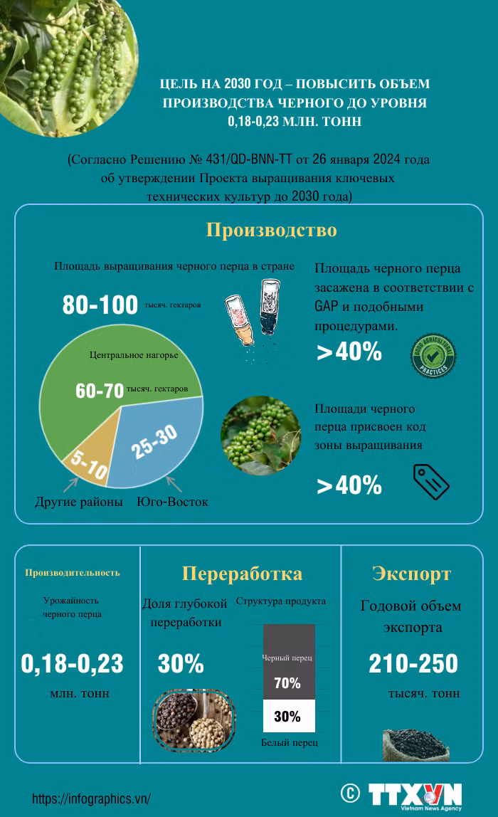 Цель на 2030 год - повысить объем производства черного перца до уровня 0,18-0,23 млн. тонн. ảnh 1