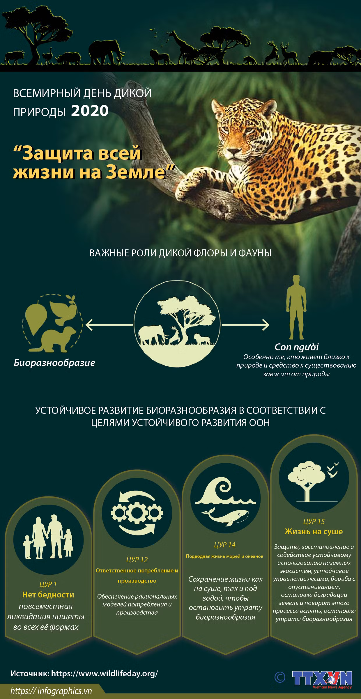 Всемирный день дикой природы 2020 подчеркивает важность биоразнообразия ảnh 1