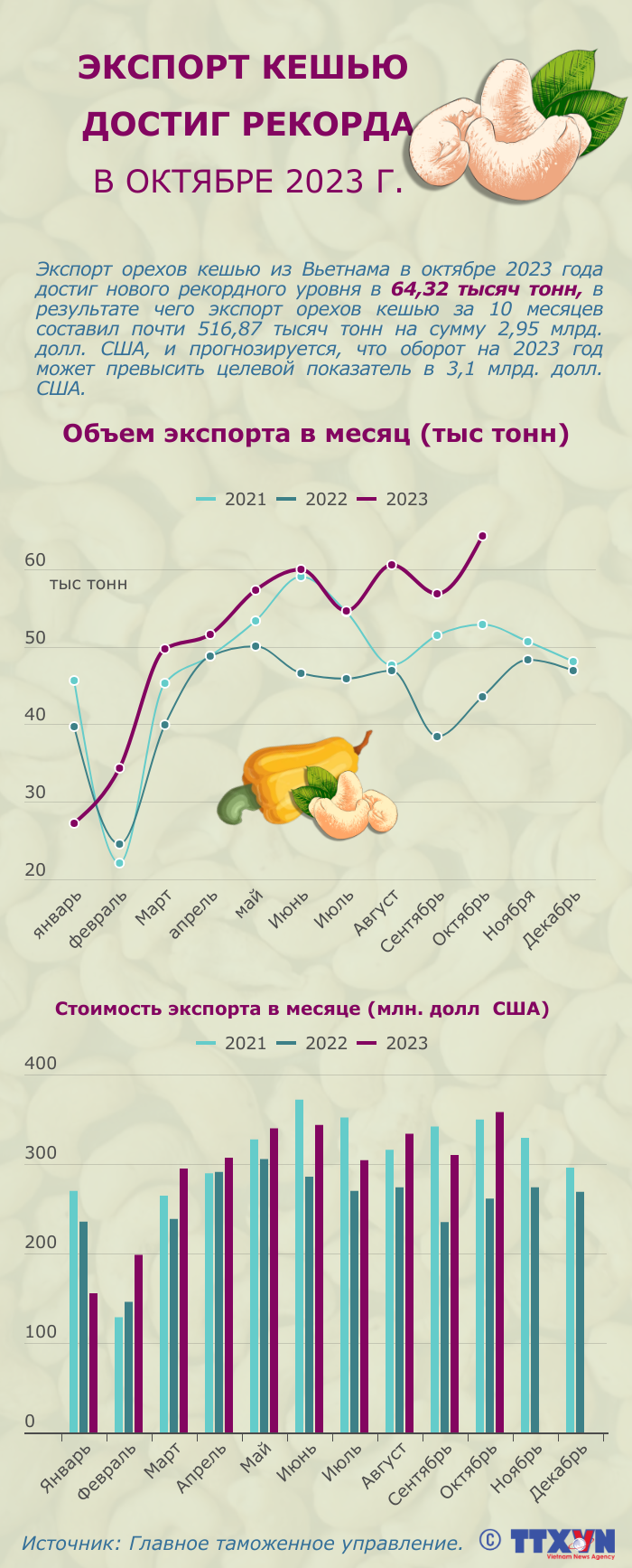 Экспорт кешью достиг рекорда в октябре 2023 г. ảnh 1