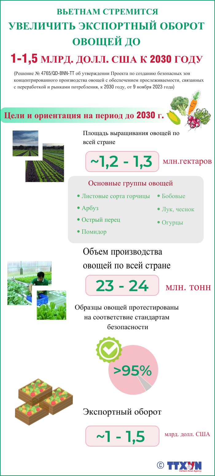 Вьетнам стремится увеличить экспортный оборот овощей до 1-1,5 млрд. долл. США к 2030 году ảnh 1
