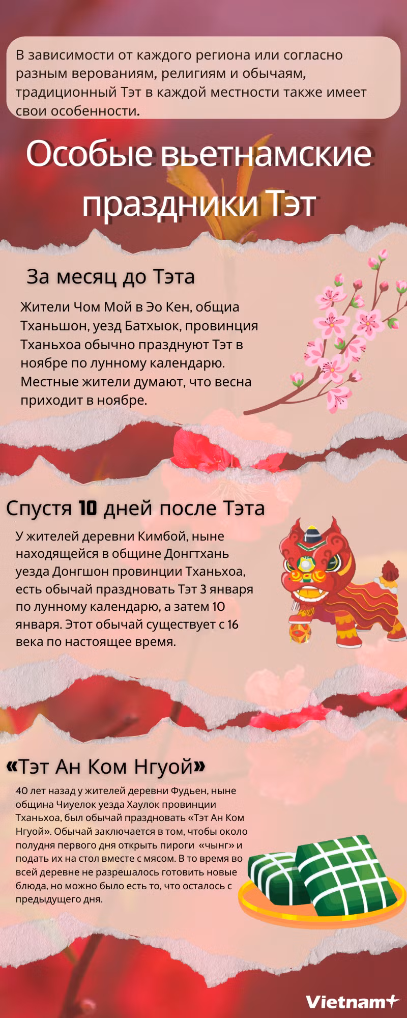 Откройте для себя способы празднования традиционного вьетнамского Тэта ảnh 1
