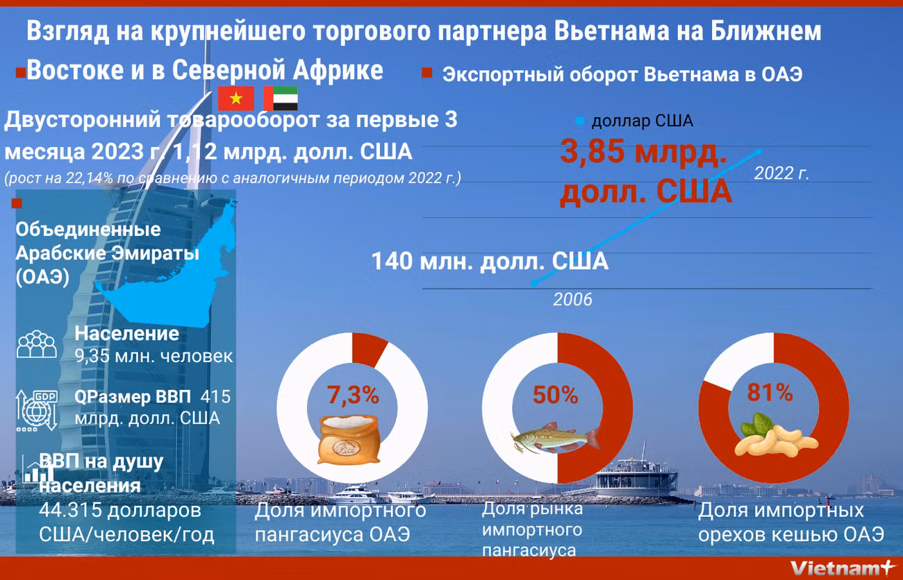 Взгляд на крупнейшего торгового партнера Вьетнама на Ближнем Востоке и в Северной Африке ảnh 1 Взгляд на крупнейшего торгового партнера Вьетнама на Ближнем Востоке и в Северной Африке ảnh 1