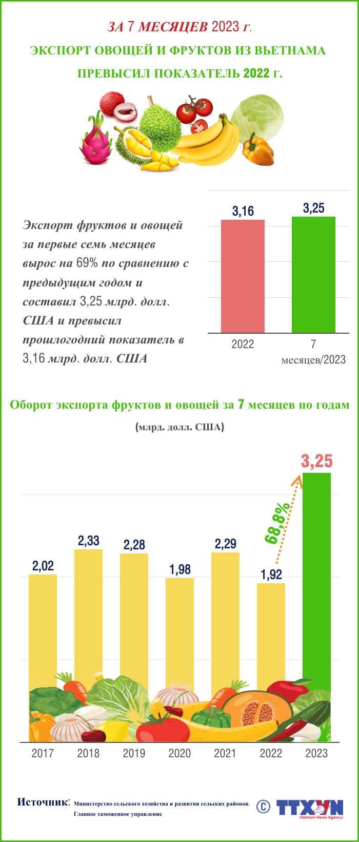 Экспорт овощей и фруктов из Вьетнама за 7 месяцев превысил показатель 2022 года ảnh 1 Экспорт овощей и фруктов из Вьетнама за 7 месяцев превысил показатель 2022 года ảnh 1