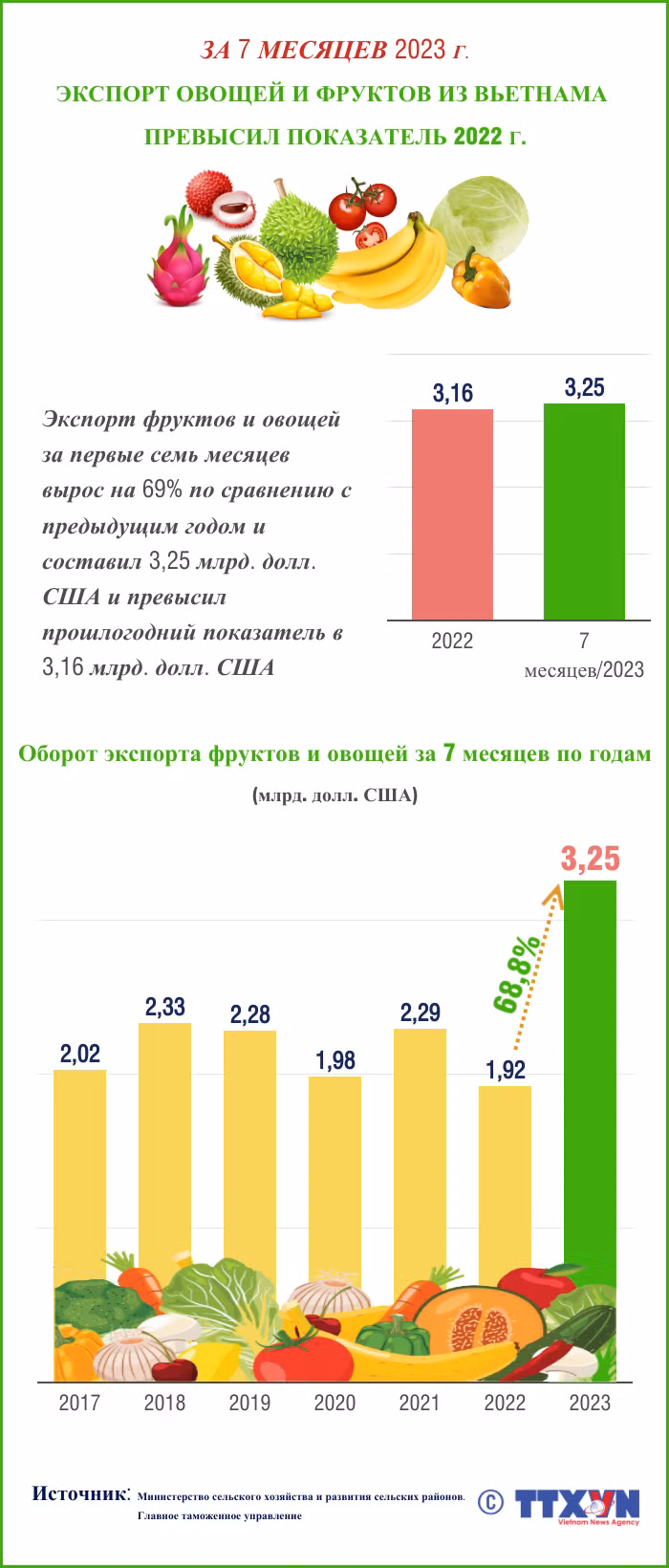 Экспорт овощей и фруктов из Вьетнама за 7 месяцев превысил показатель 2022 года ảnh 1