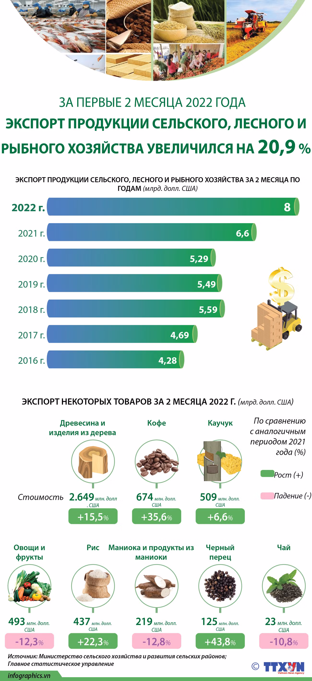 За первые 2 месяца 2022 года экспорт продукции сельского, лесного и рыбного хозяйства увеличился на 20,9% ảnh 1