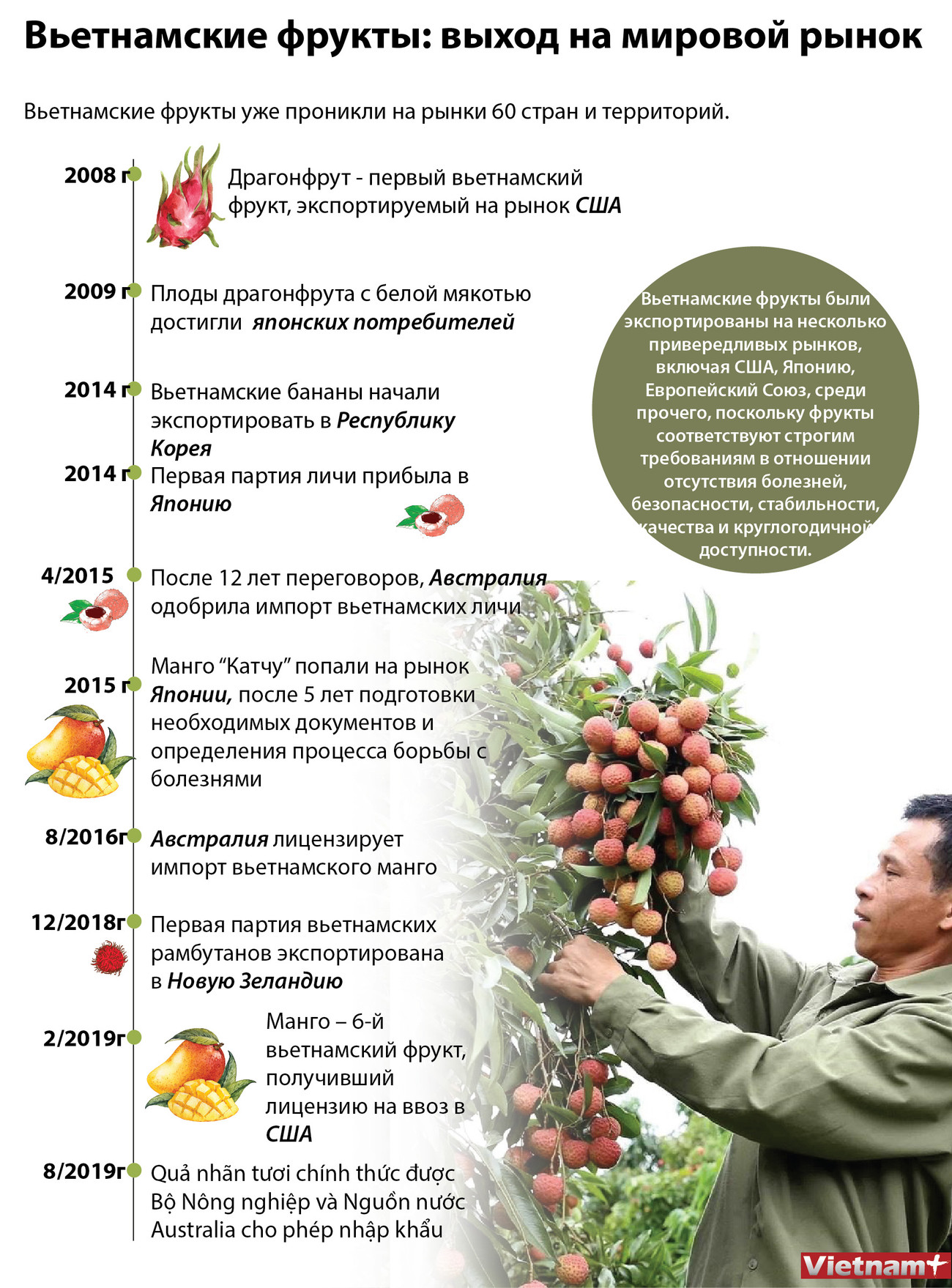 Вьетнамские фрукты: выход на мировой рынок ảnh 1 Вьетнамские фрукты: выход на мировой рынок ảnh 1