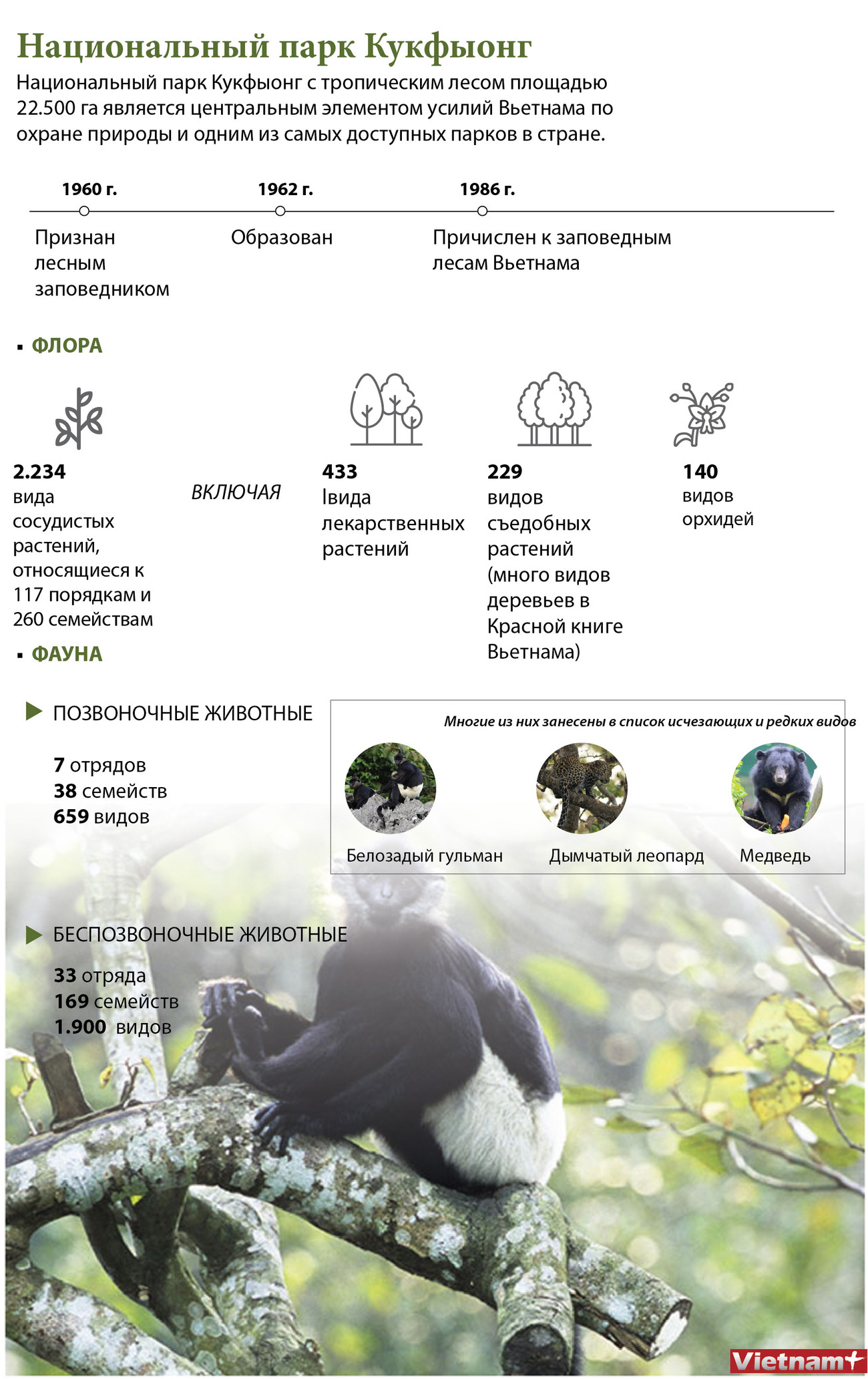 Национальный парк Кукфыонг ảnh 1