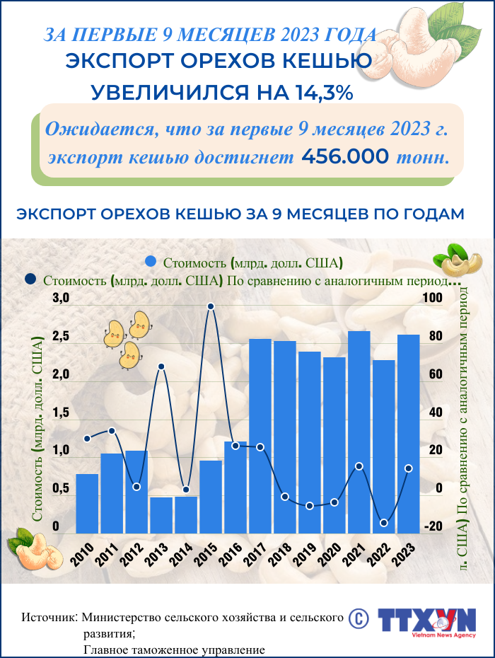 За первые 9 месяцев 2023 года экспорт орехов кешью увеличился на 14,3% ảnh 1