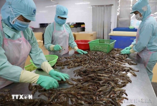 За первые 6 месяцев 2025 года общий объем импорта и экспорта Вьетнама с Египтом достиг 266,9 млн долларов США. (Фото ВИА) hop-tac-viet-nam-ai-cap-phat-4.jpg