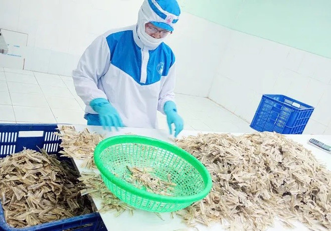 Продукция из костей рыбы силага компании ООО «Ту Хай» (квартал Фуоктханг, Хошимин) экспортируется в Японию. (Фото: sggp.org.vn) 2-6574.jpg