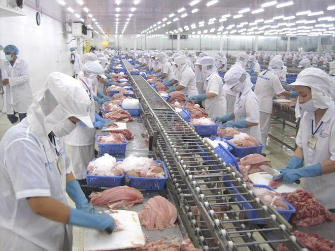 Перерабатывают рыбные продукты на экспорт. (Фото: корр. Vietnam+) 3-6543.jpg