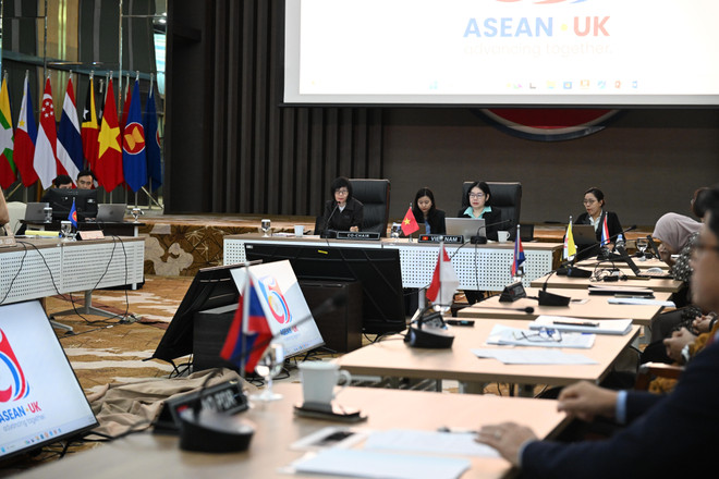 vna-potal-viet-nam-dong-chu-tri-cuoc-hop-uy-ban-hop-tac-chung-asean-anh-lan-thu-5-8623578.jpg