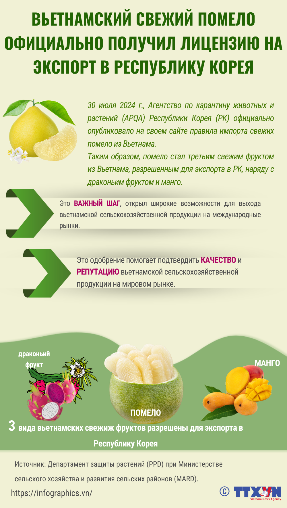 copy-nga_20240802_vn-buoi-nhap-han-quoc_ltthuong.png