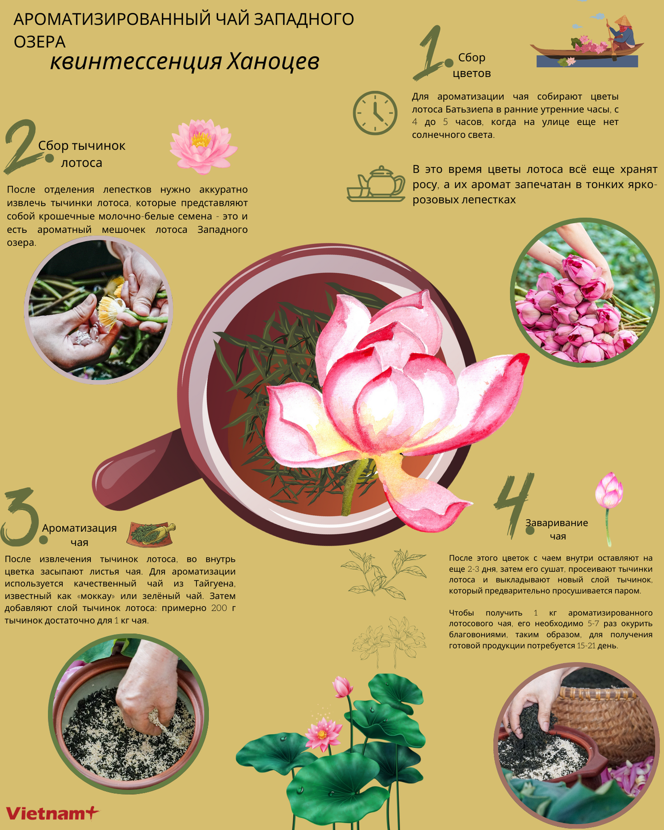 Nghề ướp trà sen Tây Hồ.png