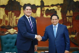 Премьер-министр Фам Минь Тьинь принимает Йохана Ндиси, Посла Королевства Швеция во Вьетнаме. (Фото: ВИА)