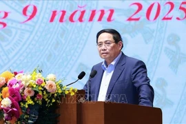 Премьер-министр Фам Минь Тьинь подвёл итоги четвёртого заседания Руководящего комитета по развитию науки и технологий, инновациям, цифровой трансформации. (Фото: ВИА)