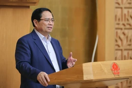 Премьер-министр Фам Минь Тьинь провёл заседание правительства по вопросам устранения трудностей и препятствий при реализации двухуровневой модели местной администрации. (Фото: ВИА).