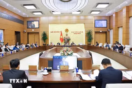 Заседание Постоянного комитета Национального собрания. (Фото: ВИА)