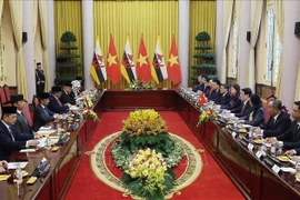 Президент Лыонг Кыонг проводит переговоры с Султаном Брунея-Даруссалама Хаджи Хассаналом Болкиахом. (Фото: ВИА)