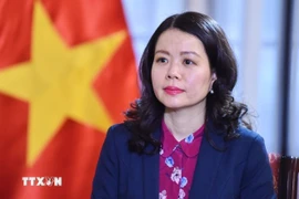 Заместитель министра иностранных дел Нгуен Минь Ханг. (Фото: ВИА)