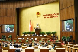 Общий вид заседания Национального собрания утром 23 июня 2025 года. (Фото: ВИА).