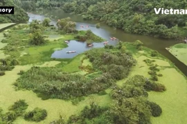 Экотуристическая зона Тхунг Ньам. (Фото: ВИА)