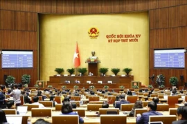 Национальное собрание проголосовало за принятие Закона о судебной экспертизе (с поправками). (Фото: ВИА).