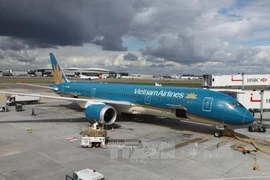 Самолёт Vietnam Airlines в аэропорту. (Фото: ВИА)
