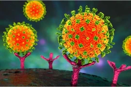 Во Вьетнаме не зафиксировано ни одного случая заболевания, вызванного вирусом Нипах. (Фото: suckhoedoisong.vn)