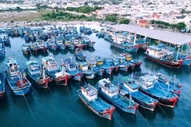 В настоящее время в провинции насчитывается более 5 120 рыболовных судов длиной шесть метров и более.