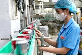 Производство на предприятии компании Tan Quang Minh Trading Co., Ltd. (Bidrico), г. Хошимин. (Фото: sggp.org.vn)