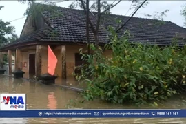 Многие районы всё ещё затоплены на глубину от 1 до 1,5 метра. (Фото: ВИА)